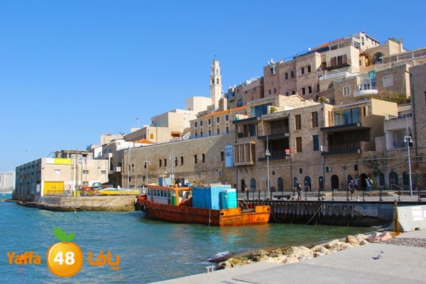 mina2 yaffaj343 (13).JPG